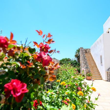 Villa Andromeda Amorgos Extérieur photo